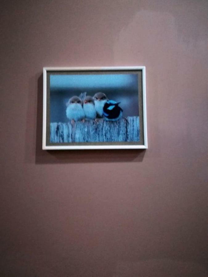 Birdhome In 第比利斯 外观 照片